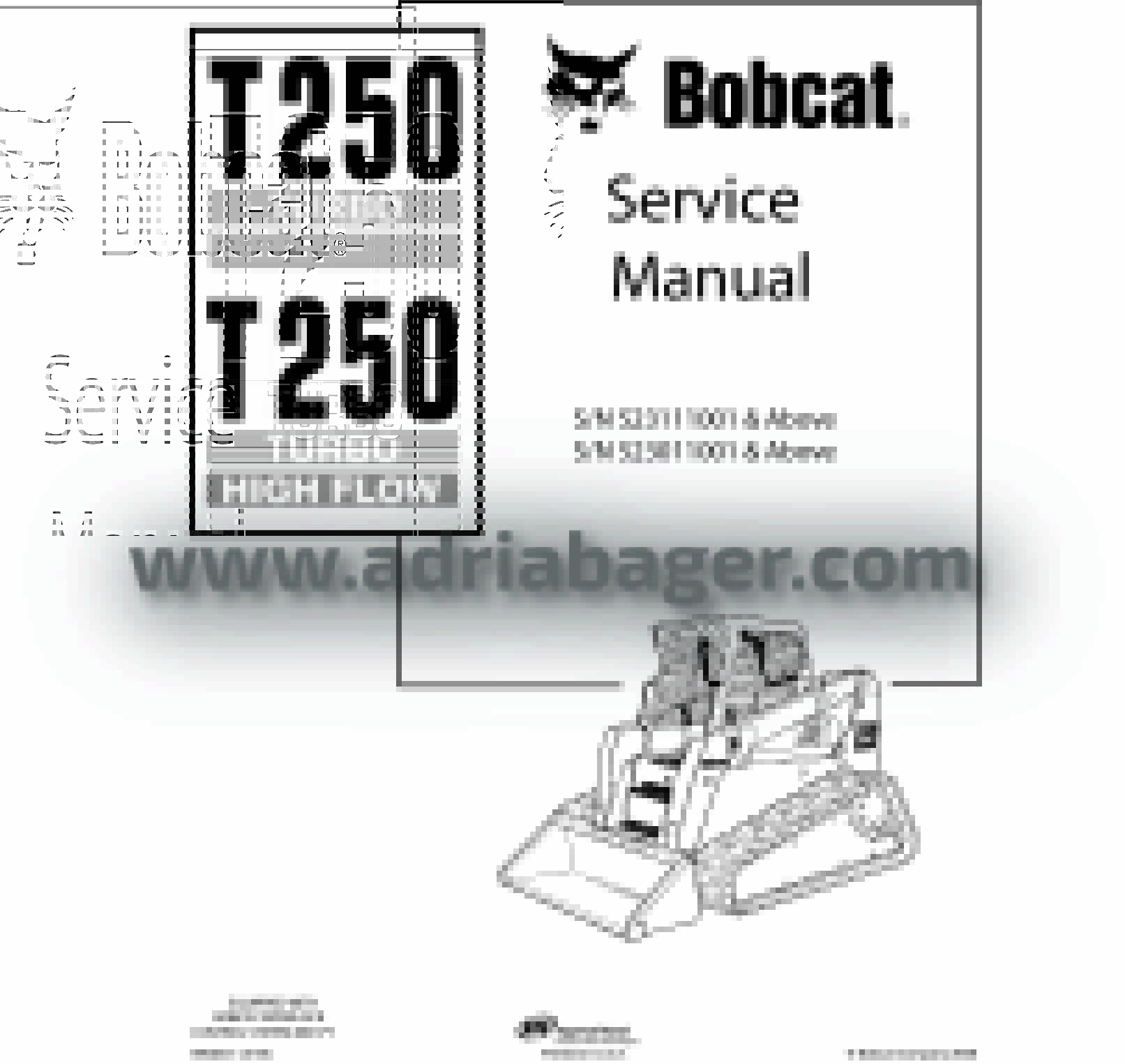 Bobcat T250 Turbo Skid Steer Vinyl Decal Set – Avery Sticker + Applicator Tool
